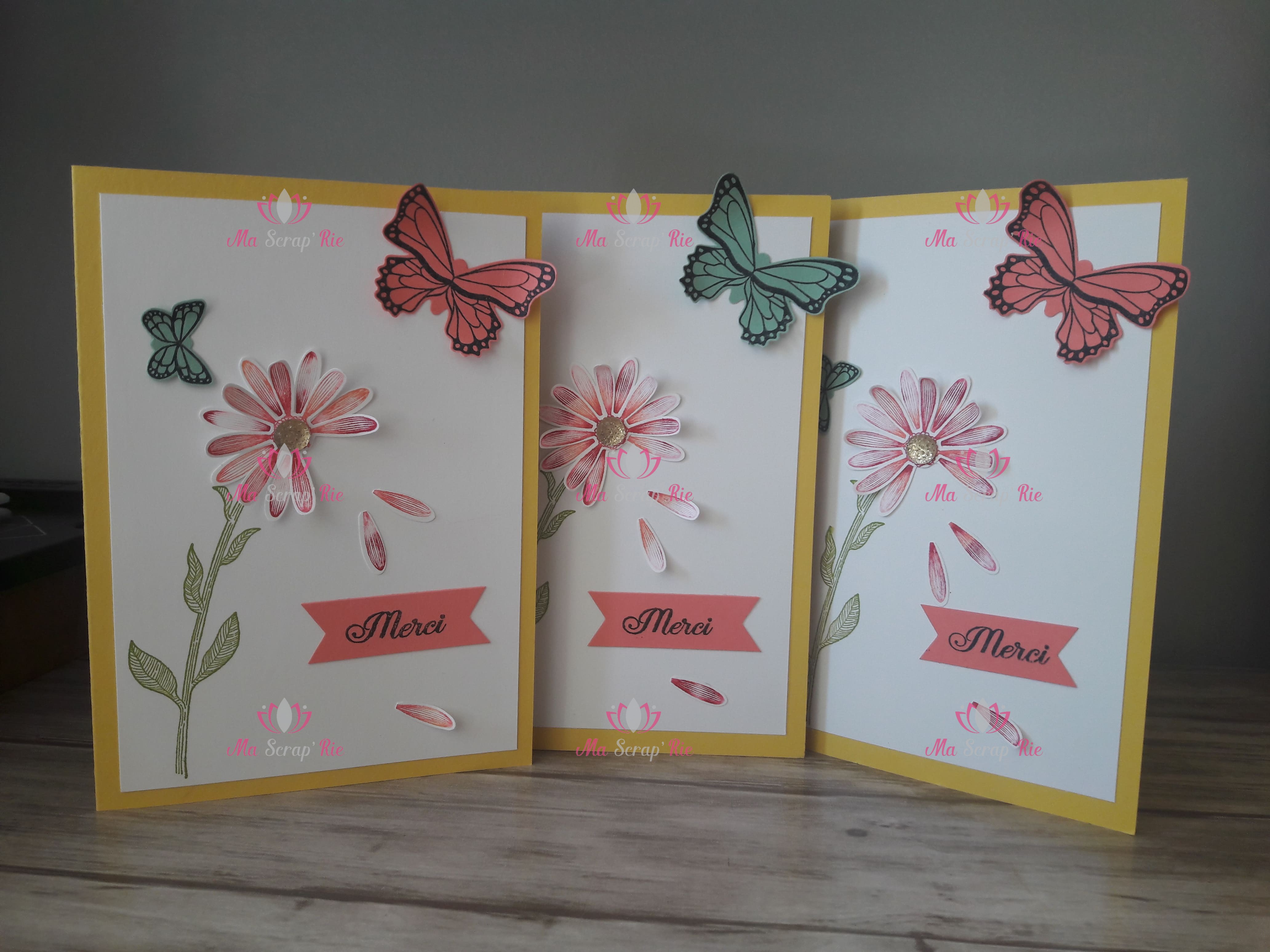 cartes occasions diverses merci pensée plaisir offrir envoyer