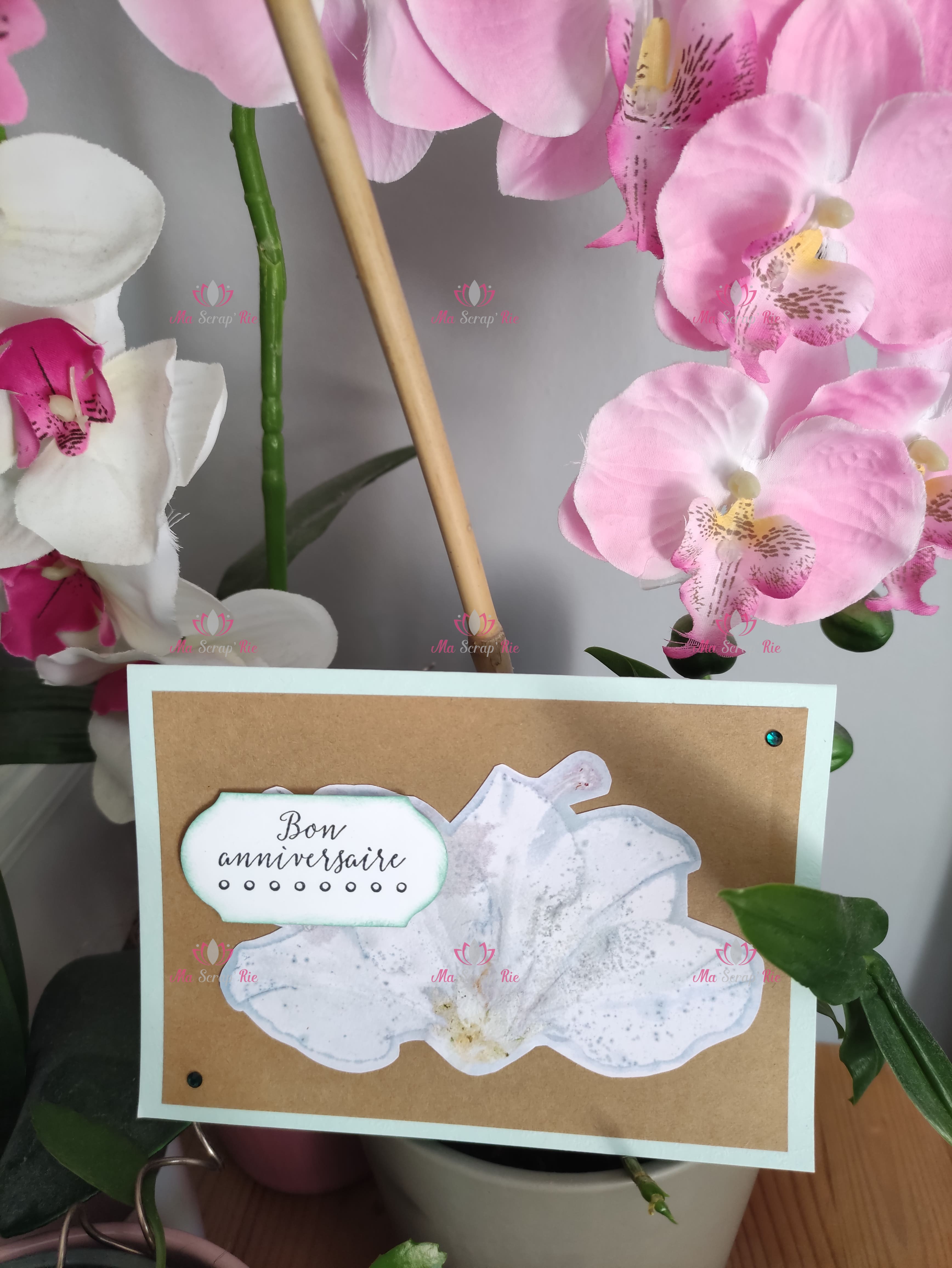 carte anniversaire offrir envoyer personnaliser commander