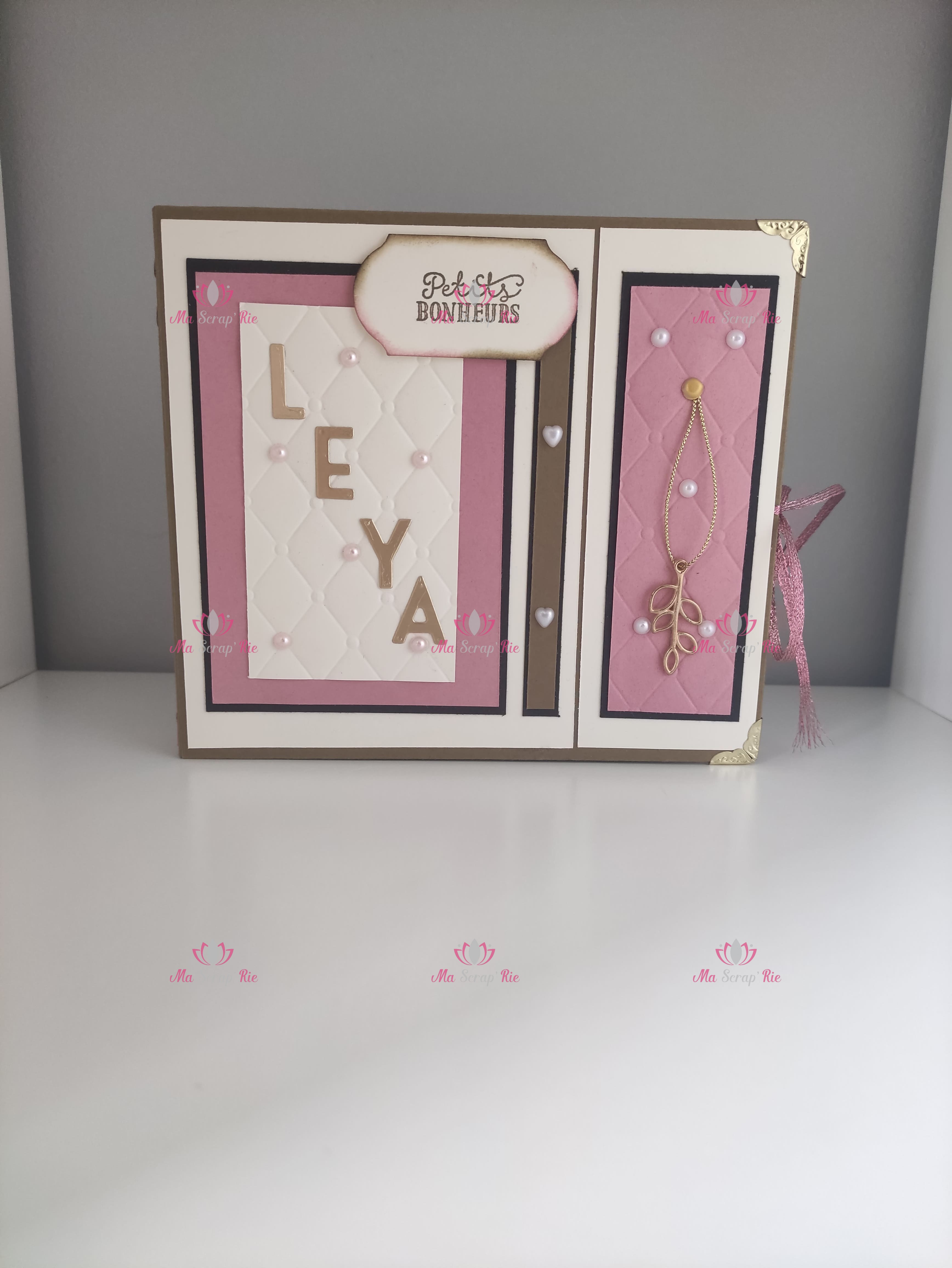album, aimant, souvenirs, messages, cascade, livret, rose